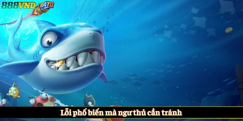 Lỗi phố biên mà ngư thủ cần tránh